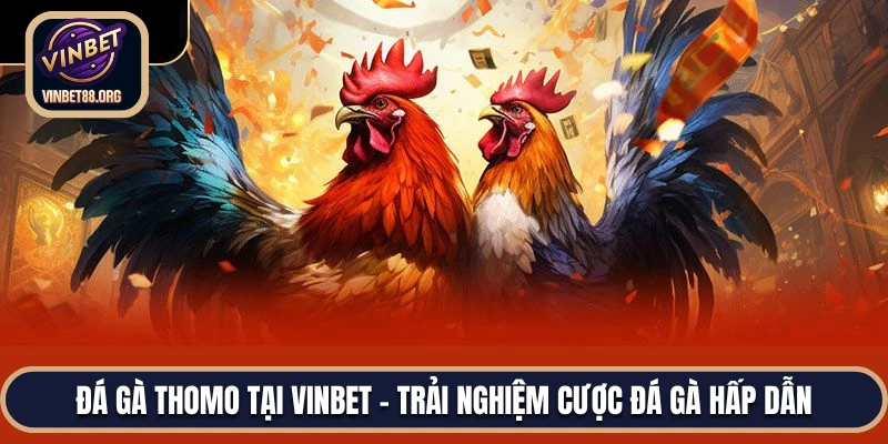 Đá Gà Thomo